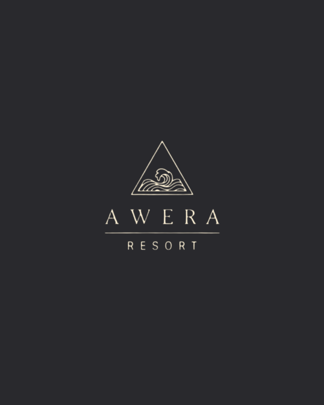 Awera Fly SamaSama - Making remote islands accessible